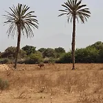 Dar Nawara